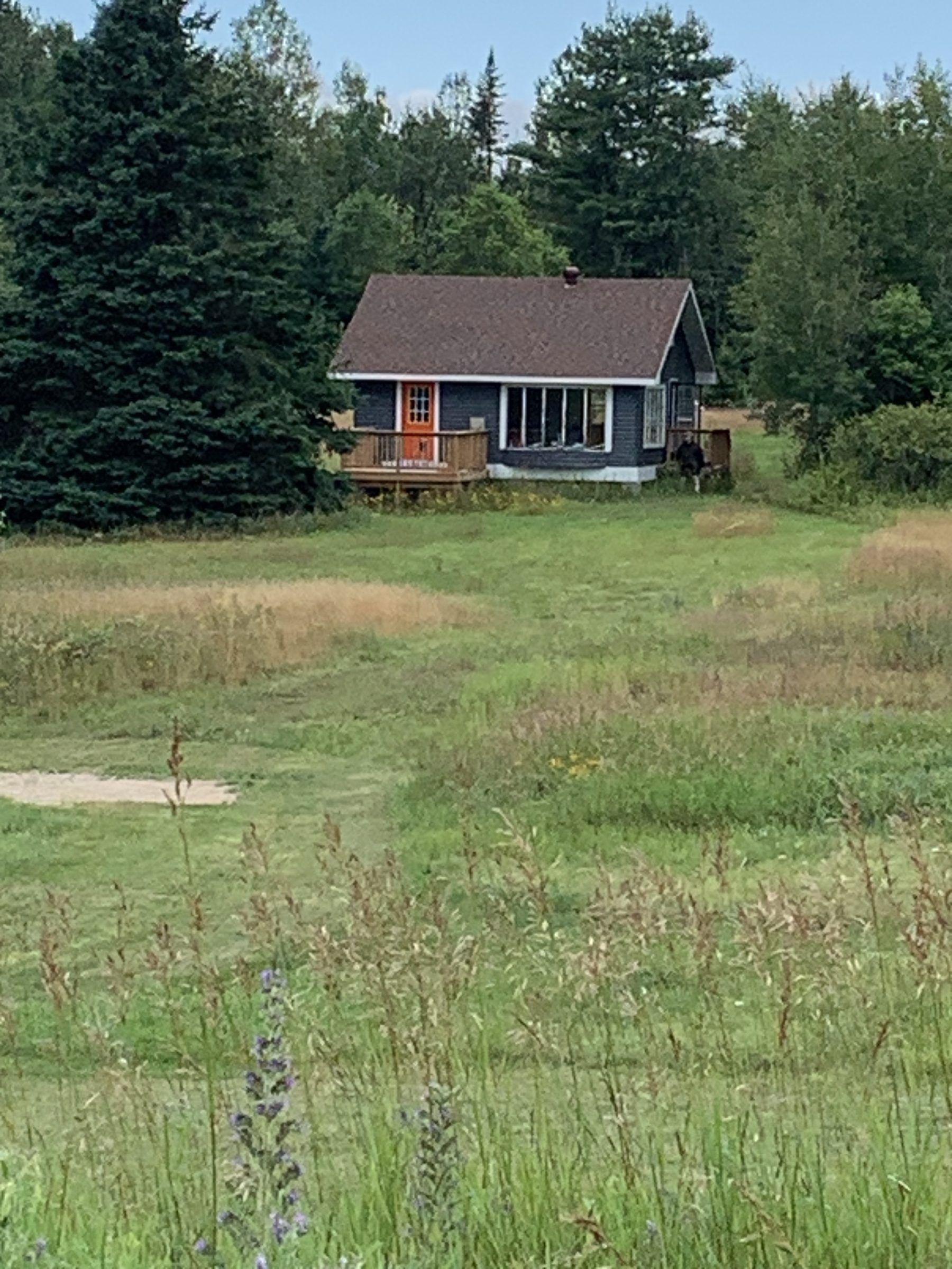 Exterior of the bunkie in an open meadow, surrounded by forest